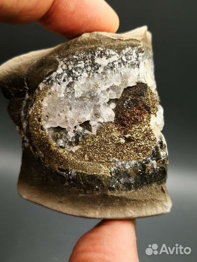 Спектропирит (марказит) в обломке конкреции