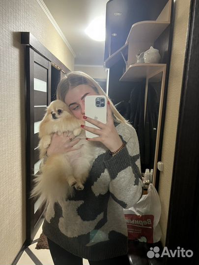 Выгул собак