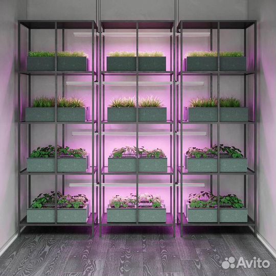 Настенный светодиодный светильник Gauss Fito Led