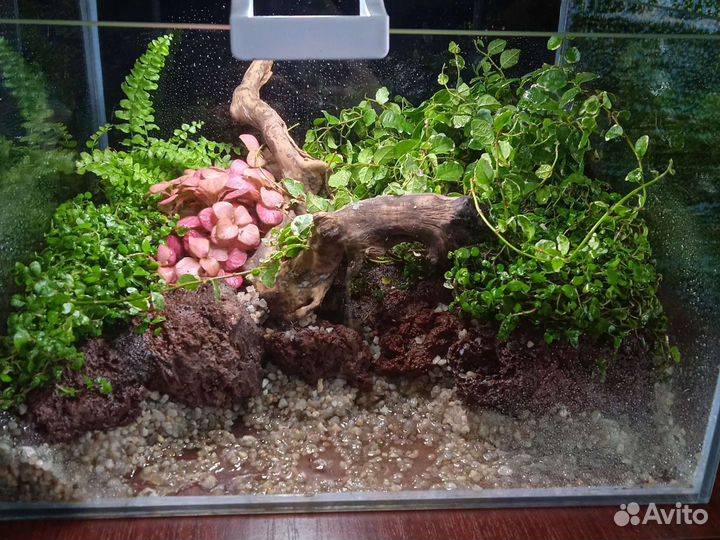 Оформление аквариумов/палюдариумов/флорариумов