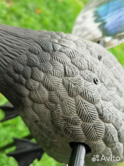 Приманка-махокрыл красноголового нырка