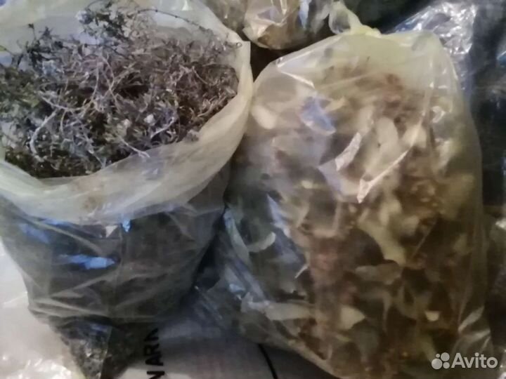 Лекарственные травы