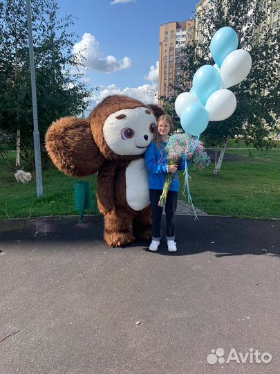 Белый мишка и Чебурашка экспресс поздравление