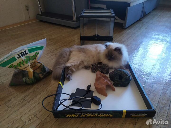 Террариум Exo terra 30*30*30 плюс оборудование