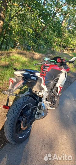 Racer storm 250