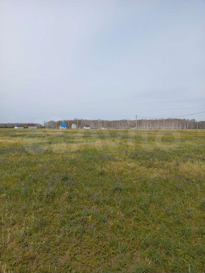 Участок 15 сот. (ИЖС)