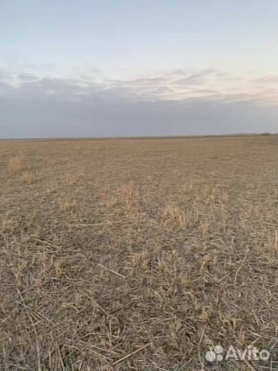 Земельный участок 204га под сегокос