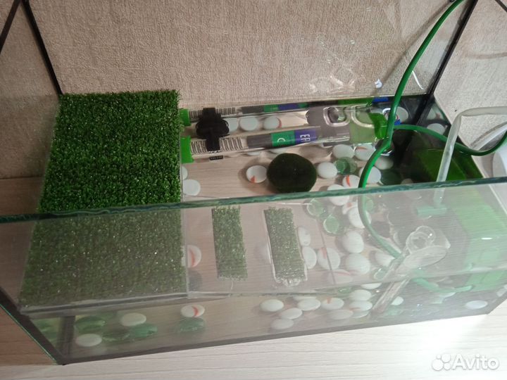 Террариум для черепахи