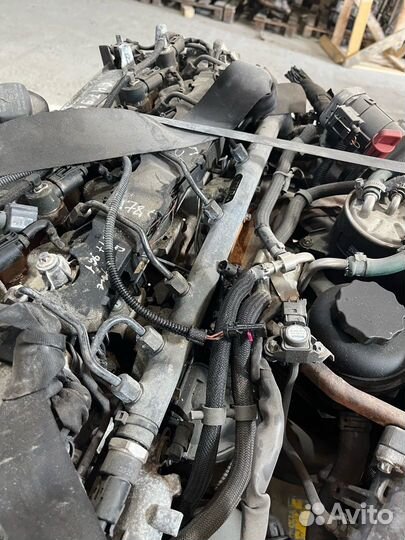 Топливная рампа Mercedes Om647