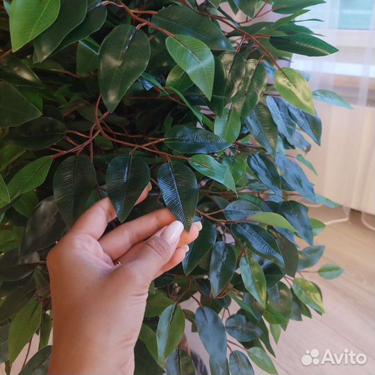 Искусственное дерево. Фикус бенджамина