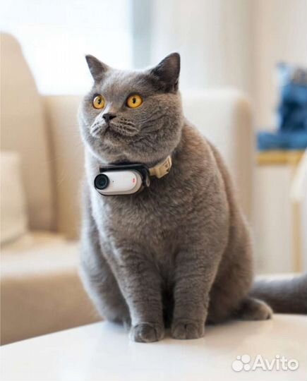 Экшн камера insta 360 go 3, 64 gb