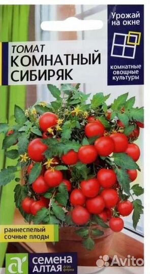 Рассада томатов балк чудо, комн сибиряк и др