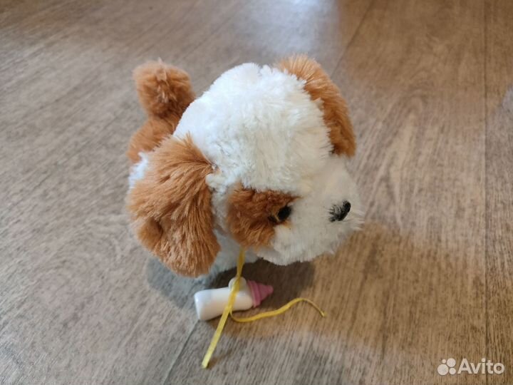 Собака на пульте управления