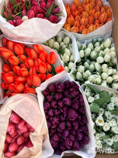 Живые цветы букеты