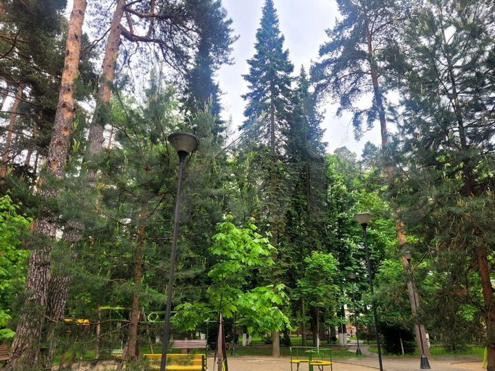 Участок 8 сот. (ИЖС)