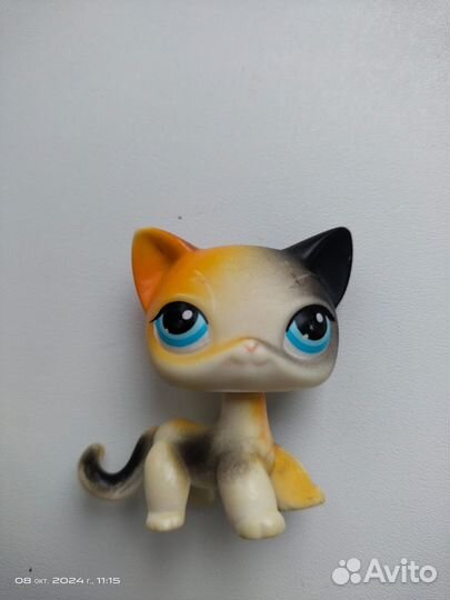 Лпс кошечка