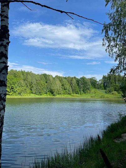 Участок 12 сот. (ИЖС)