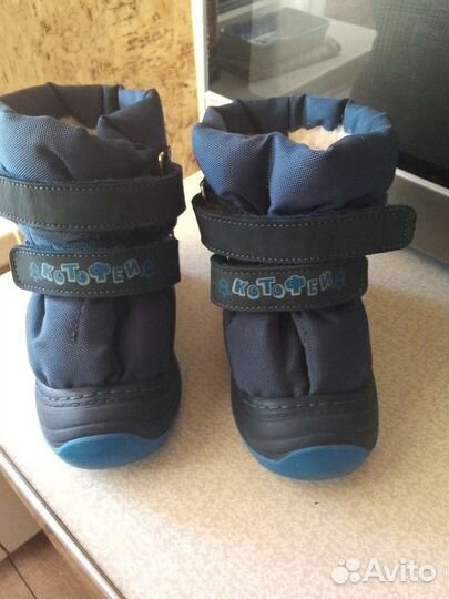 Котофей, зимние сноубудсы