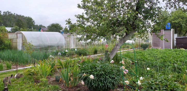 Дача 50 м² на участке 6 сот.