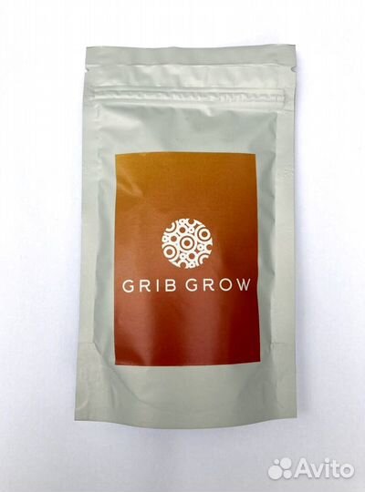 Кордицепс Милитарис, Омск