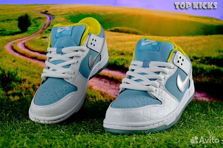 Nike SB Dunk Low Pro FTC 