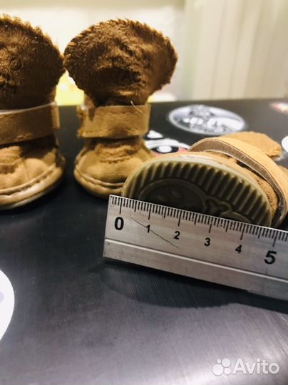 Ботинки для собаки