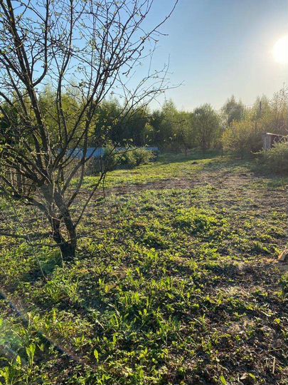 Участок 6,2 сот. (СНТ, ДНП)