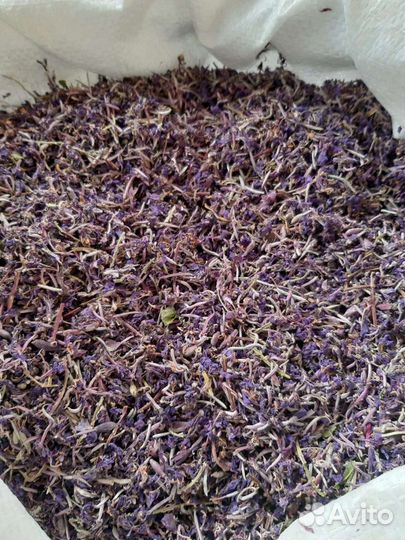 Иван чай, цвет иван чая