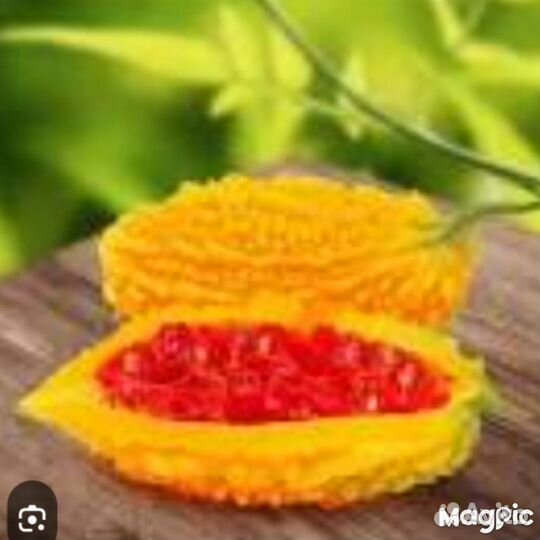 Семена момордики