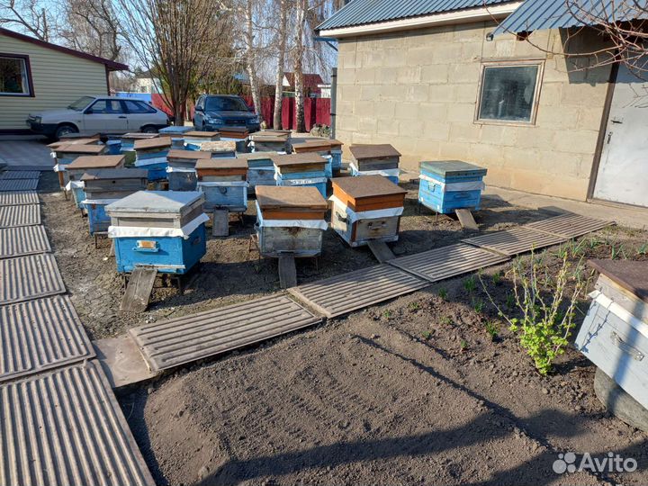 Ульи для пчёл