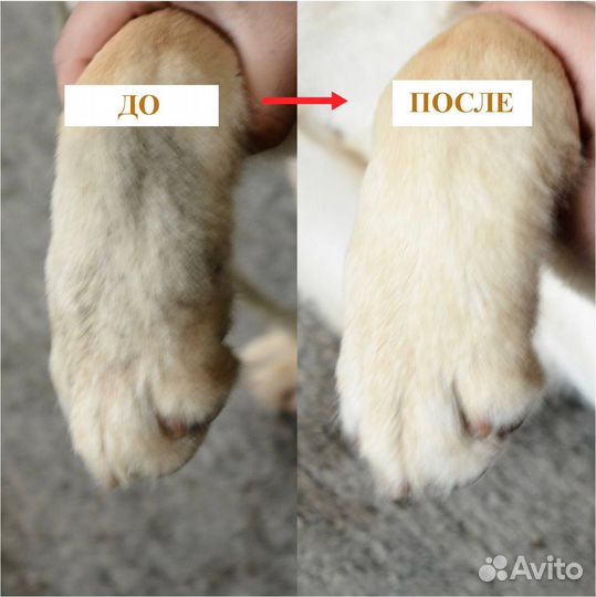 Лапомойка переносная