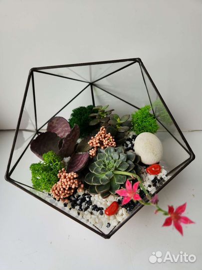 Флорариум с суккулентами