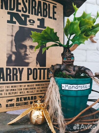 Мандрагора ручная работа