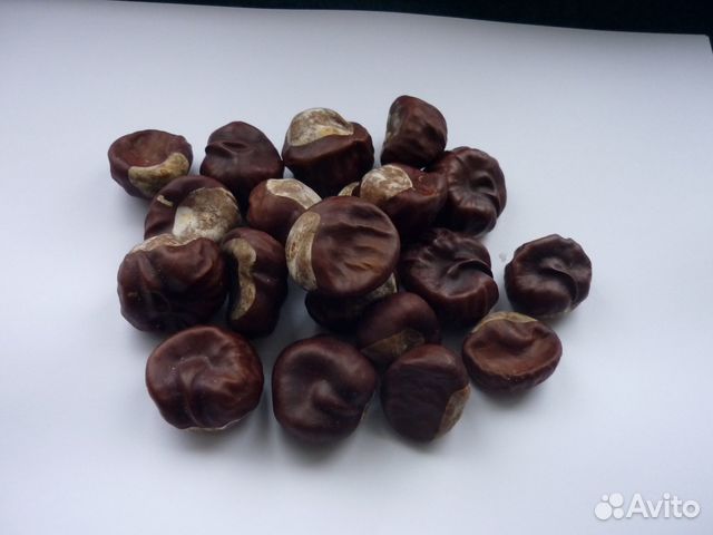 Плоды каштана