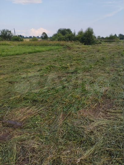 Участок 29,6 сот. (ИЖС)