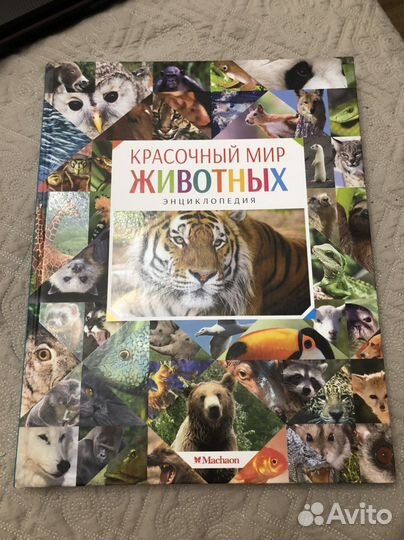 Книга Красочный мир животных