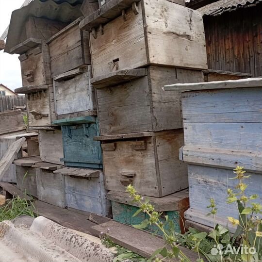 Ульи для пчел