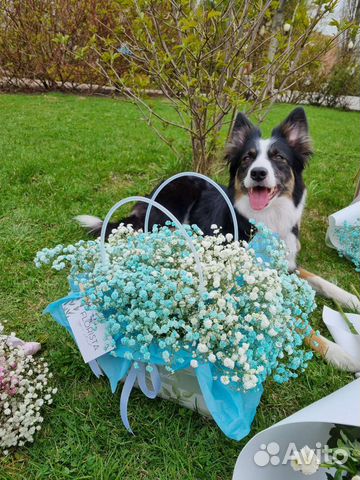 Сумочка из Гипсофилы