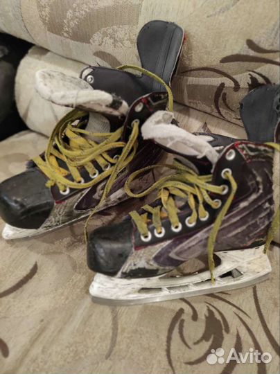 Хоккейные коньки bauer