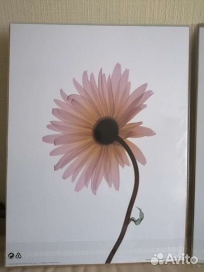 Набор из 3х постеров