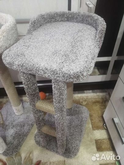 Когтеточка (новая)