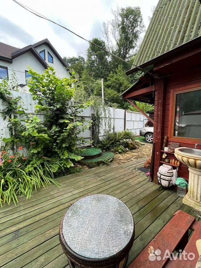 Передержка собак в домашних условиях