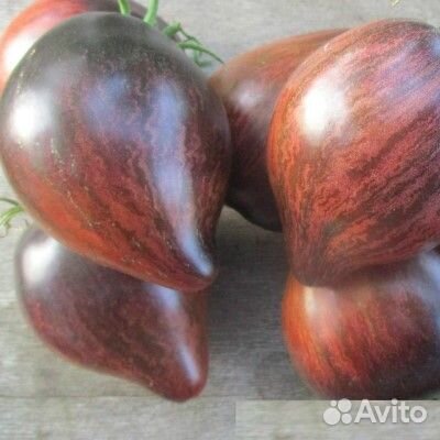 Семена сортовых овощей