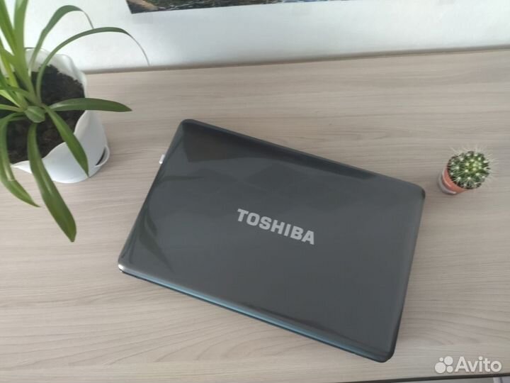 Ноутбук toshiba