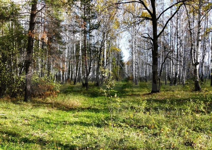 Участок 14 сот. (ИЖС)