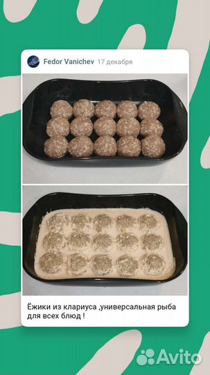 Кармут (Африканский мраморный сом) Живой