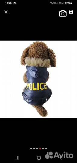 Зимний комбинезон маленькой собачки