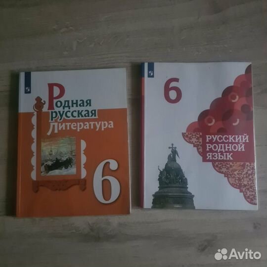 Родные русский язык и литература 6класс