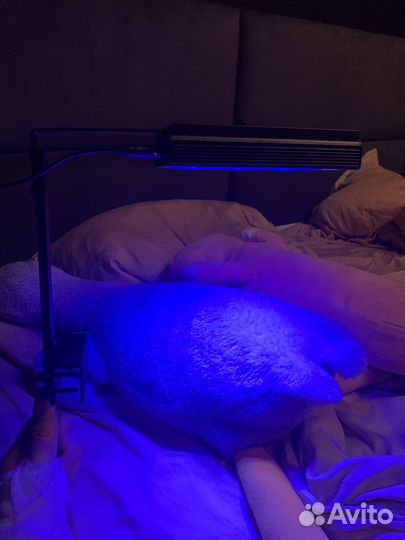 Моской светильник popbloom