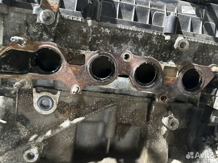 Двигатель Ford Focus aoda 2.0